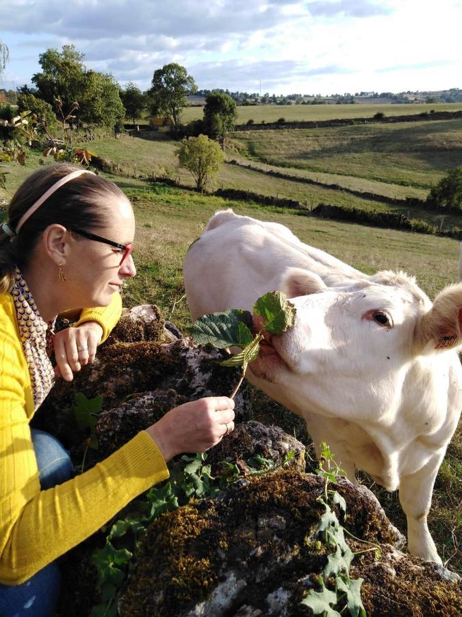 La Mazille , Cossy Vakantiestudio Met Zwembad In Zuid-Bourgogne Anglure-sous-Dun Exteriör bild