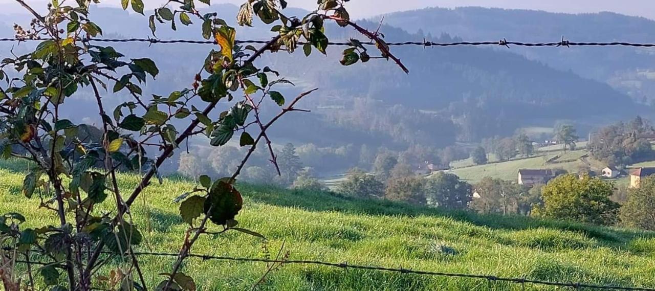La Mazille , Cossy Vakantiestudio Met Zwembad In Zuid-Bourgogne Anglure-sous-Dun Exteriör bild